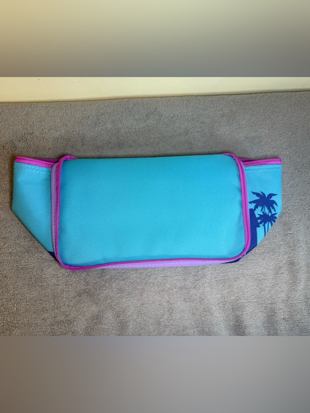 Trader Joe's Blue Insulated Mini Tote- with PINK zipper - Picture 3 of 8